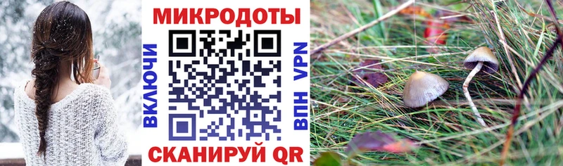 Галлюциногенные грибы Magic Shrooms  Купить закладки  Сосногорск 